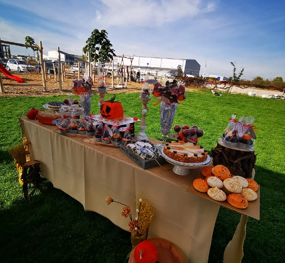 Детски партита на откриво
